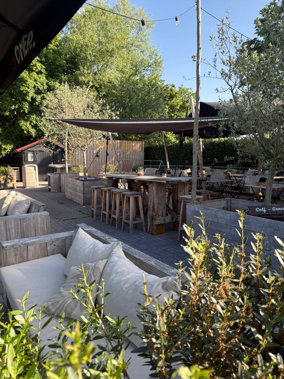 Loungehoek op het terras van La Terrasse 364 met olijfbomen en kussens